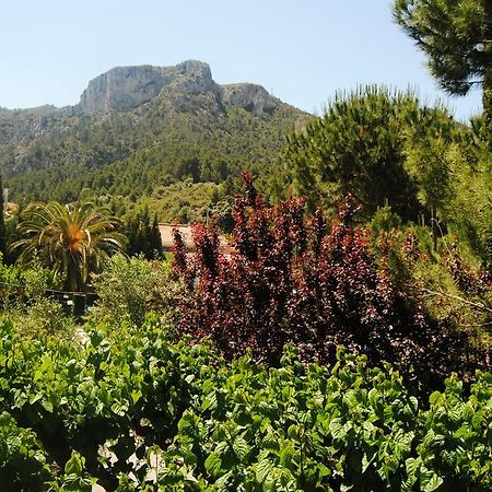 Hostal Braseria Tivissa Exterior photo