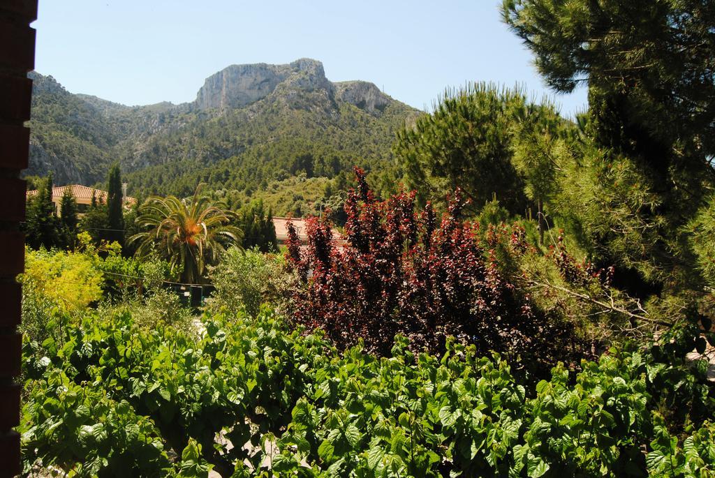 Hostal Braseria Tivissa Exterior photo
